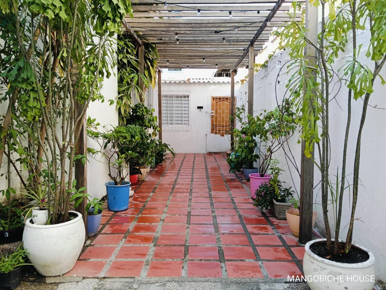 Mango Biche - House Bed and Breakfast Cartagena Εξωτερικό φωτογραφία